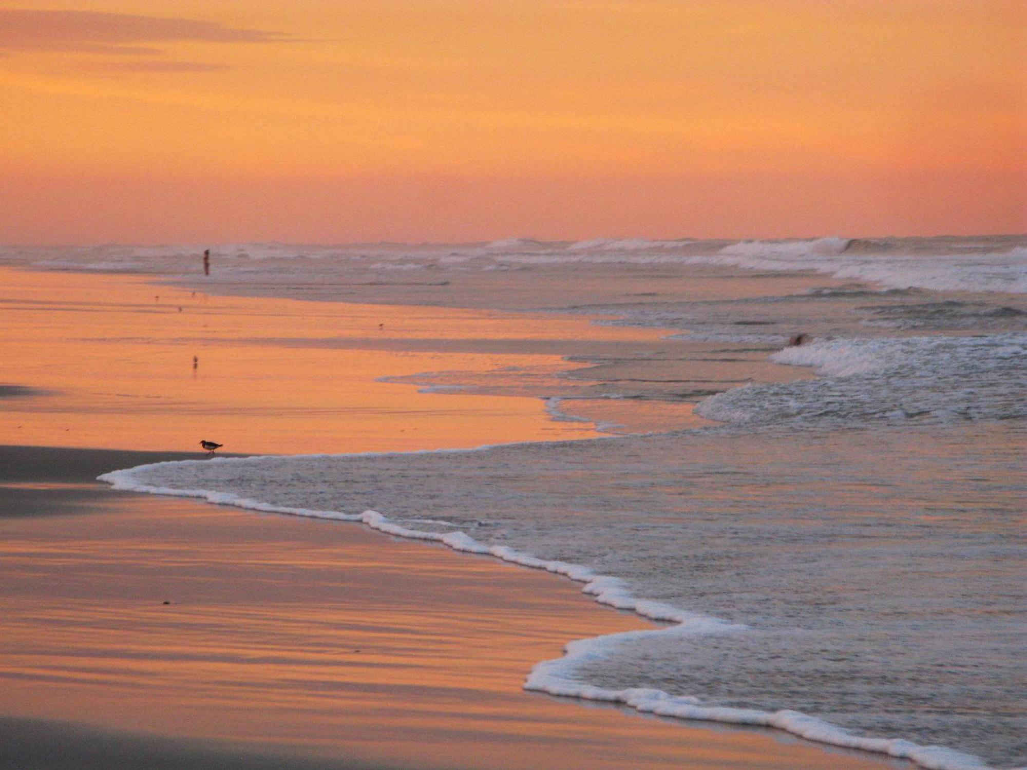Guy Harvey Resort On Saint Augustine Beach Экстерьер фото